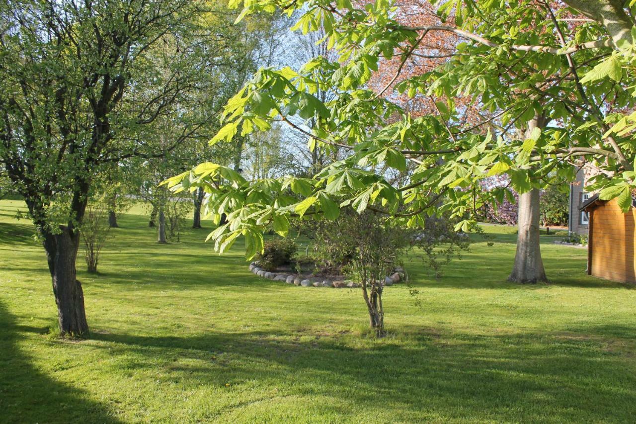 Fewo An Der Muehle Hasselberg  Zewnętrze zdjęcie